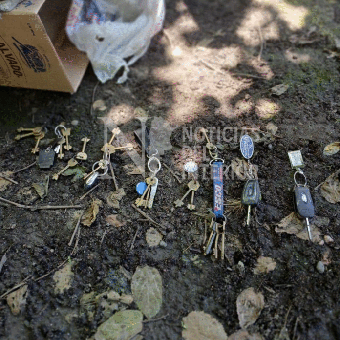 Diseño sin título_20251031_160216_0000