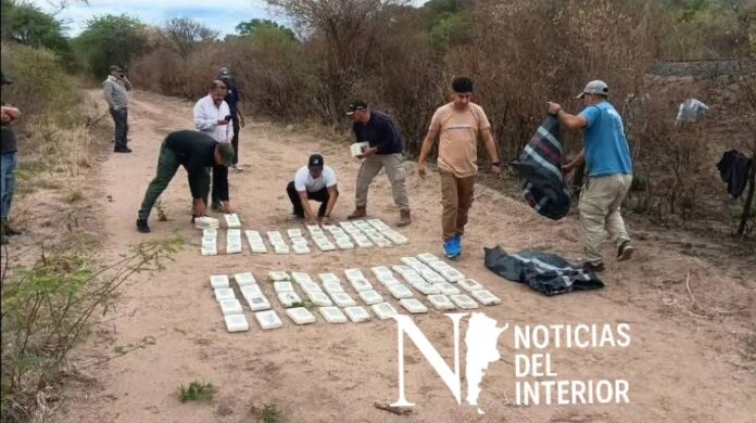 Screenshot_20251106_005355_Studio