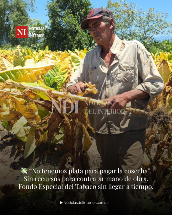 1_20251217_134440_0000