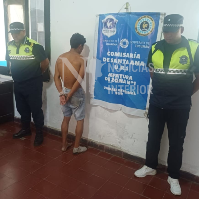 Diseño sin título_20251209_192907_0000