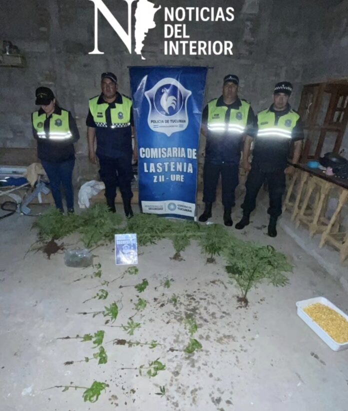 Screenshot_20251208_015722_Gallery