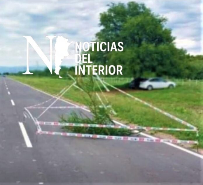 Screenshot_20251228_150855_Gallery