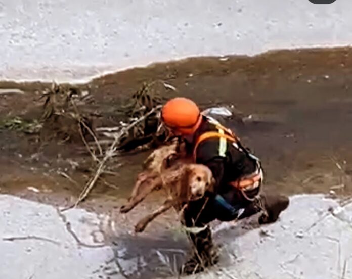 Screenshot_20251231_111328_Instagram