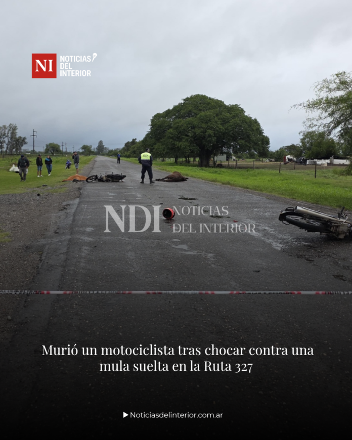 plantilla 1080 x 1350_20251215_083709_0000