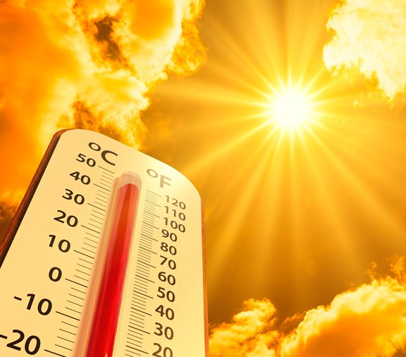 shutterstock_2180966313 (1)