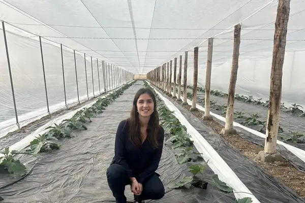 600x400_aracelis-tarascio-1119473-181534