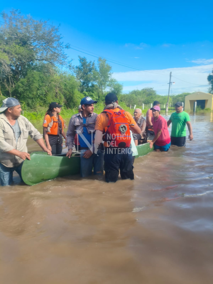 Diseño sin título_20260129_010532_0000